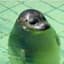 teemu's profile picture