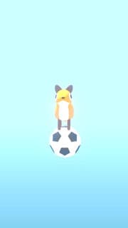 AnimalSports