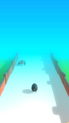 run sheep