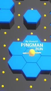 Pingman Run