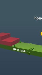 Pigeon jump-4