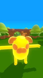 gold dog’s Mystery Cube 2