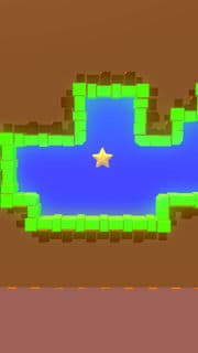 the star