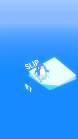 SLIP ICE