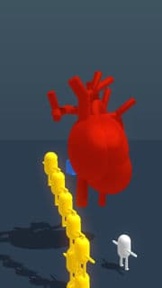 Heart model