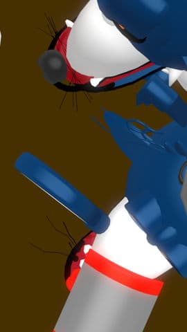 Cerberus model