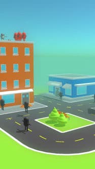 secret roof