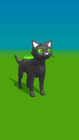 A Cat Scenario