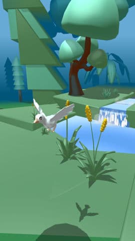 Life Of A Bird