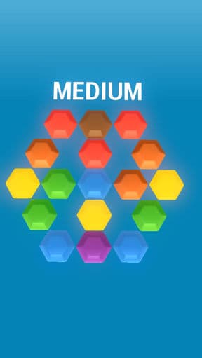 Hexagon Puzzle - Medium preview image