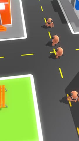 pug city