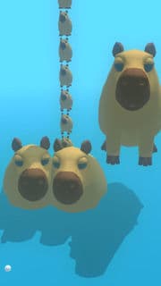 capybara 