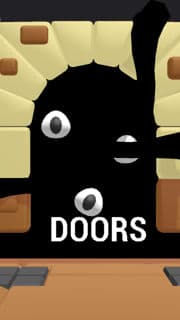 doors (from temu)