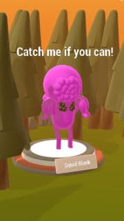 squid blank.