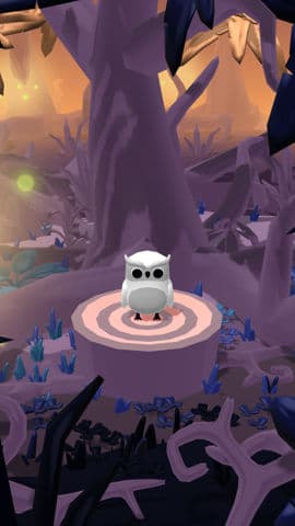 Owl The Oracle 🍀