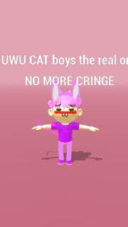 uwu cat but boys