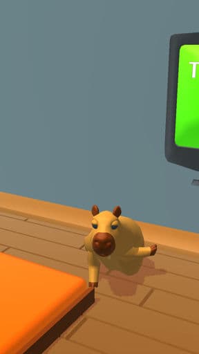 The rabbit infection!  preview image