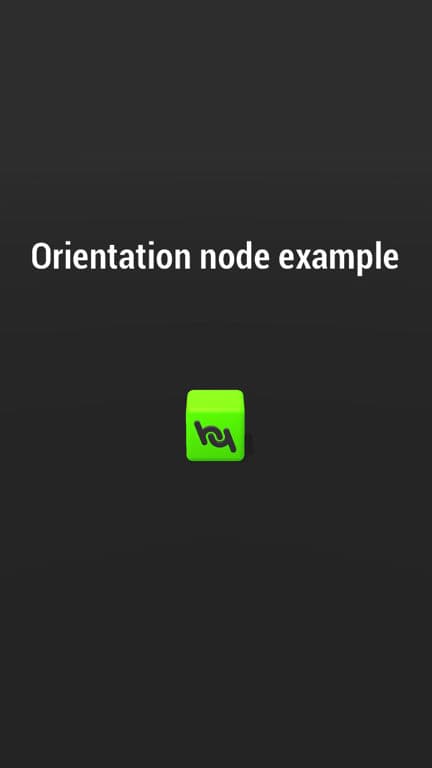 Orientation Node Example preview image
