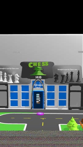 Chess hub