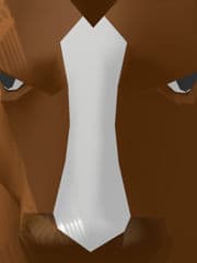 Horse Horse