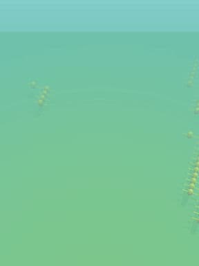 a very ducking city preview image