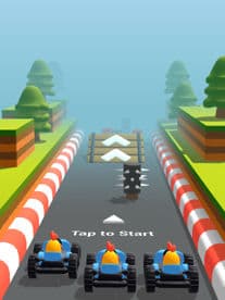 hard raceing
