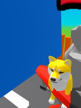 Shiba Inu dog