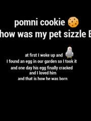 Sizzles story