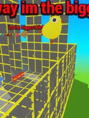 i guess yelow is the bird preview image