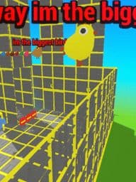 i guess yelow is the bird
