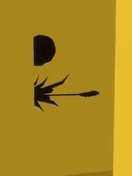 BACKROOMS: RP (FULL RELEASE)