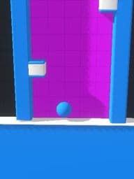 the popular game 