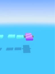  The  impossible obby 