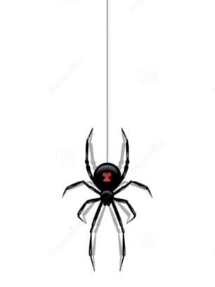 Spider Swing City preview image