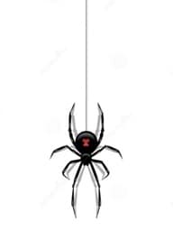 Spider Swing City
