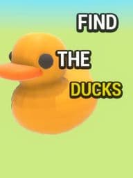 FIND THE DUCKS