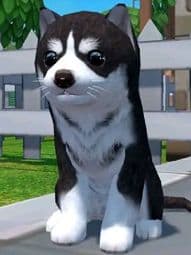 Dog simulator online 2