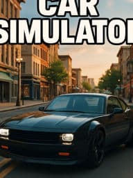 Car Simulator