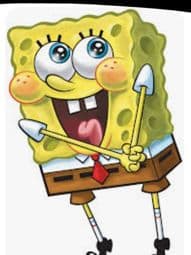 Spongebob neighborhood 