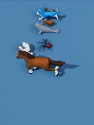 how animals run