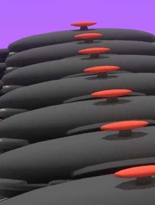 yyyyyyyy preview image