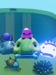 pig Fish you care them ❤️