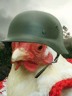 chicken army beta preview image