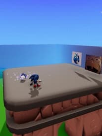 Sonic run 
