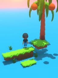 days in a stranded island