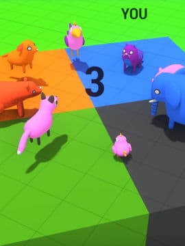 Animal