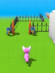 hover train dog