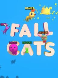 fall cats