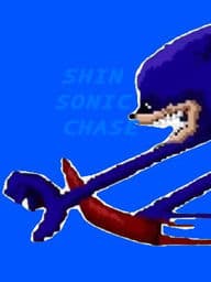 shinic chase
