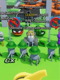 Anti-Ping Team